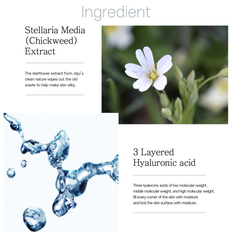 Picture of rootree Phyto ground Purifying Cream Toner 200ml